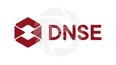 DNSE