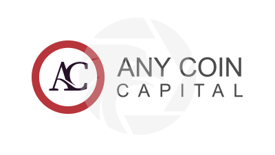 Any Coin Capital