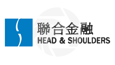 HEAD & SHOULDERS FINANCIAL GROUP 聯合金融集團