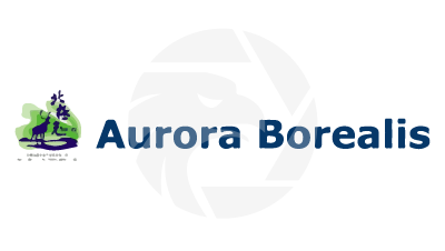 Aurora Borealis 北極光