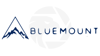 Bluemount Financial 蓝山金融