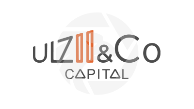 Ulzii & Co. Capital