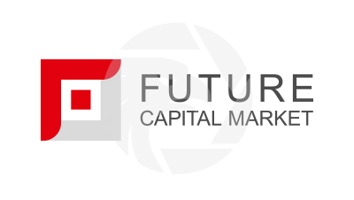 Future Capital Market