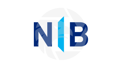 N1B