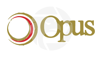 Opus 创富证券