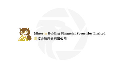 Minerva 嬴控金融证券