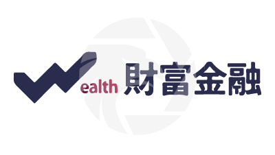 wealthgroup 财富金融