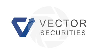 Vector Securities