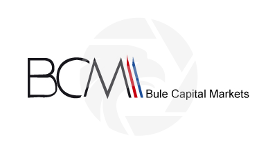 Blue Capital Markets