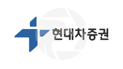 HYUNDAI MOTOR SECURITIES