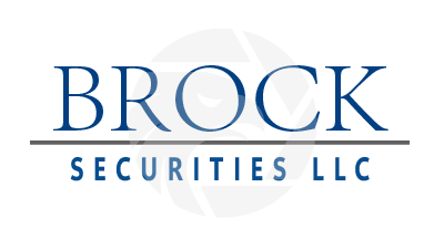 BROCK SECURITIES