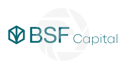 BSF Capital