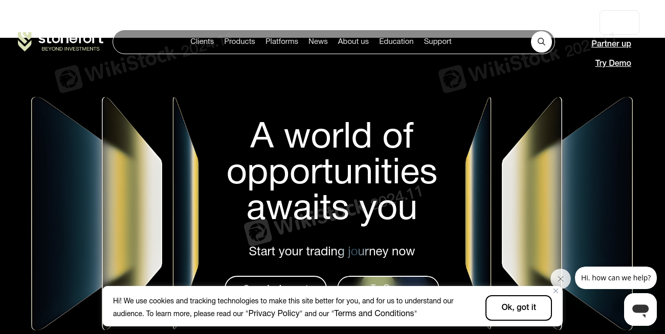 STONEFORT SECURITIES