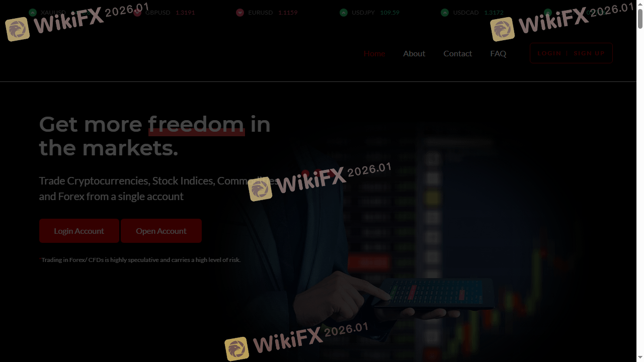 stockforexinvestment